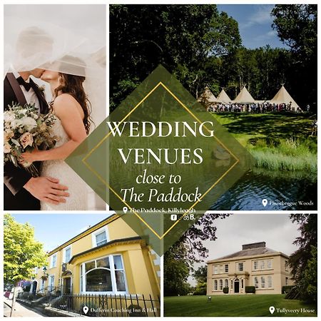 The Paddock Apartment Killyleagh ภายนอก รูปภาพ