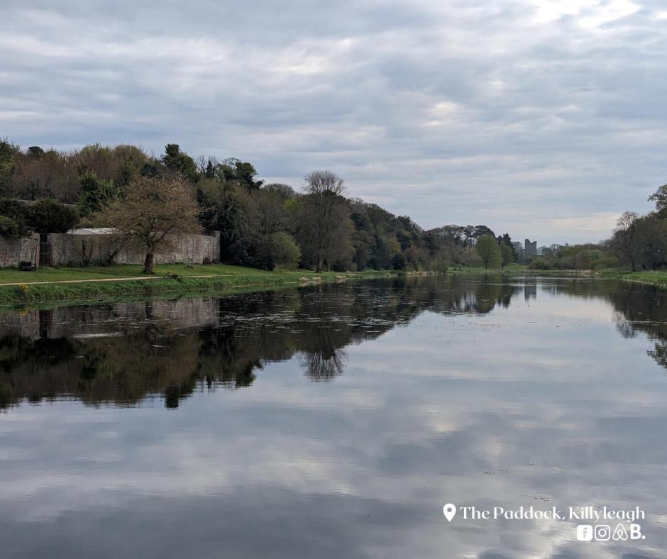 The Paddock Apartment Killyleagh ภายนอก รูปภาพ