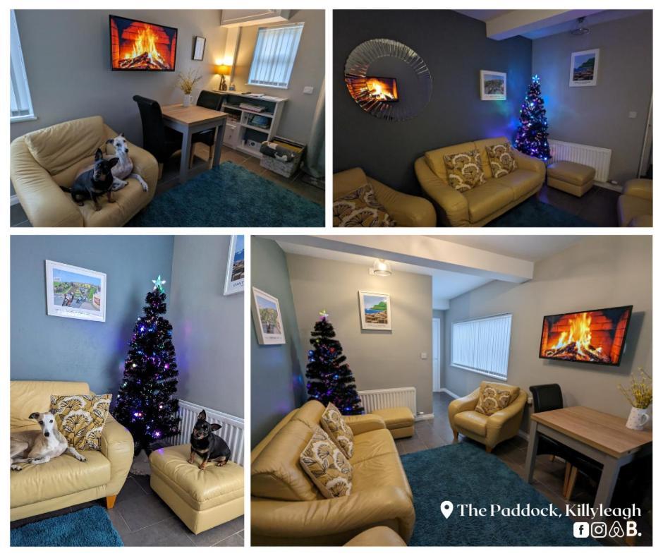 The Paddock Apartment Killyleagh ภายนอก รูปภาพ