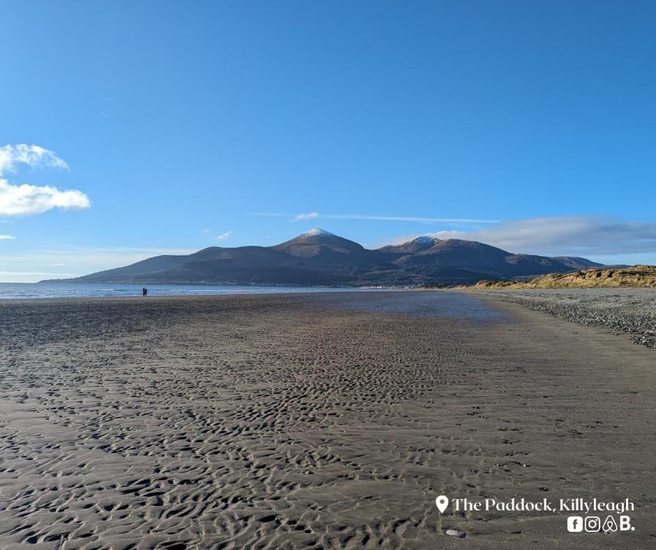 The Paddock Apartment Killyleagh ภายนอก รูปภาพ